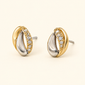 Aretes pequeños curvos bicolor